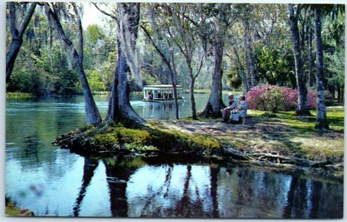 Beautiful florida scene - beautiful,