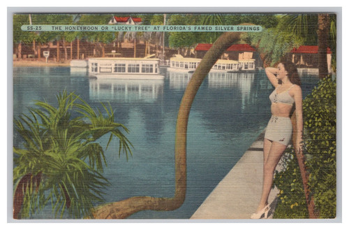 Florida silver springs - silver,
