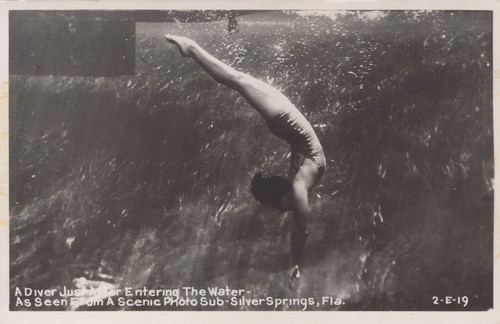 Rppc silver springs diver - rppc, fl