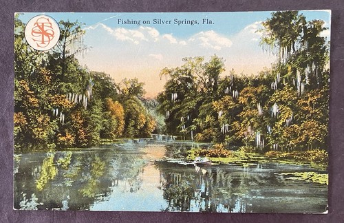 Fishing on silver - ,