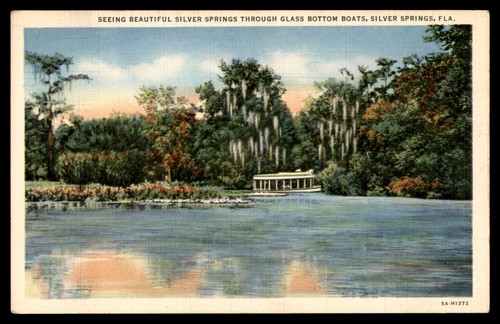 Postcard silver springs glass - postcard,