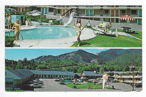 Vtg postcard silver - silver, saddle