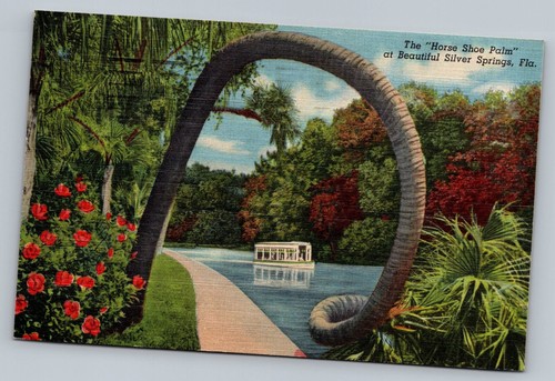 The horse shoe - the,