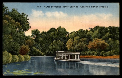 Postcard glass bottomed boats - postcard,