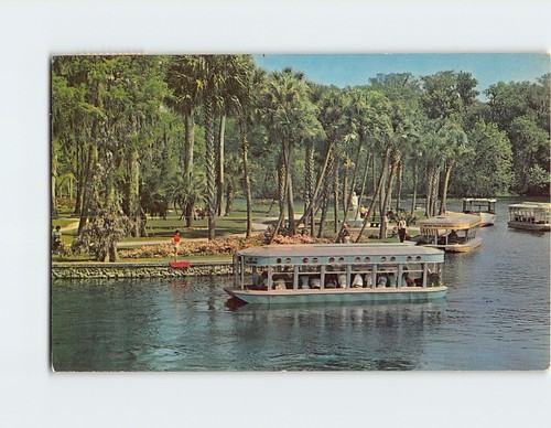 Glass bottom boats silver - bottom,