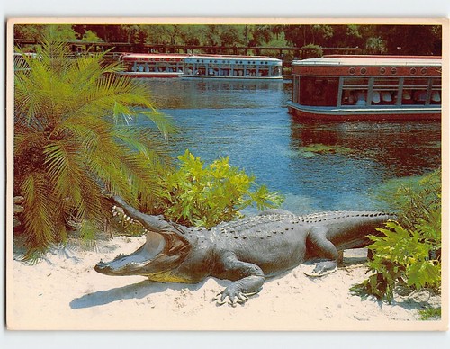 Florida silver springs - silver,