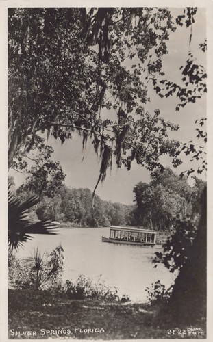 Silver springs florida rppc - springs,