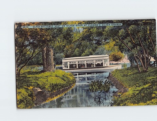 Postcard glass bottomed boat - postcard,